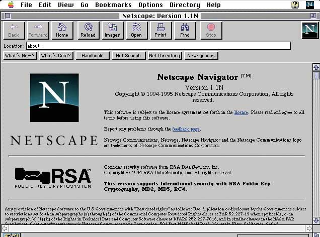 Netscape browser