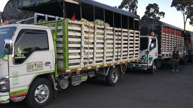 RUTA TRANSPORTADORA.