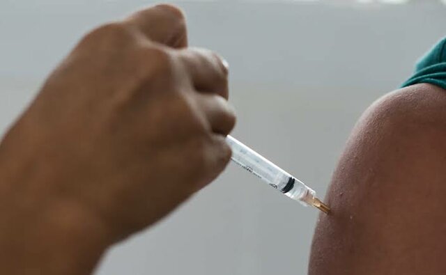 Surto de febre amarela