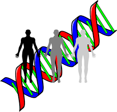 Los primeros centros