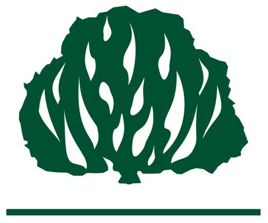 Rev. Boanerges: 2o. Pedido Titularidade