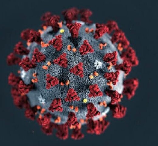 Coronavírus (COVID-19)