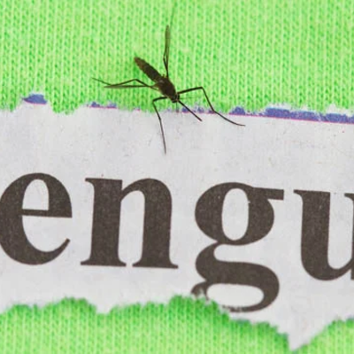 Timeline: Dengue en Colombia