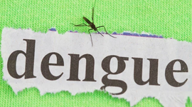 Timeline: Dengue en Colombia