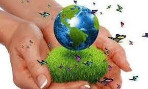 reforma   de   las   cartas   políticas   en   coherencia   con   las   discusiones   medioambientales.