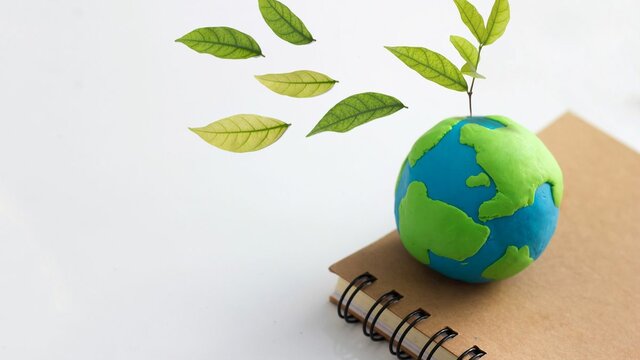 los  temas  de  protección  del  medio  ambiente  y  educación