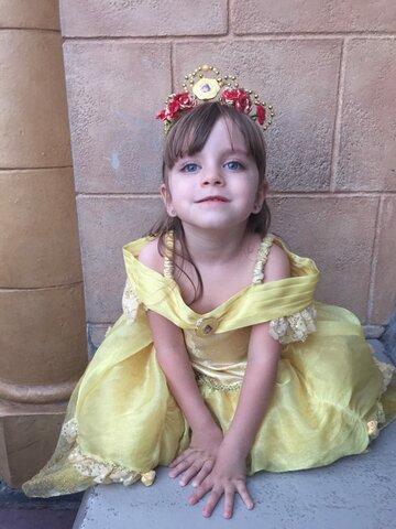 Minha viagem a Disney