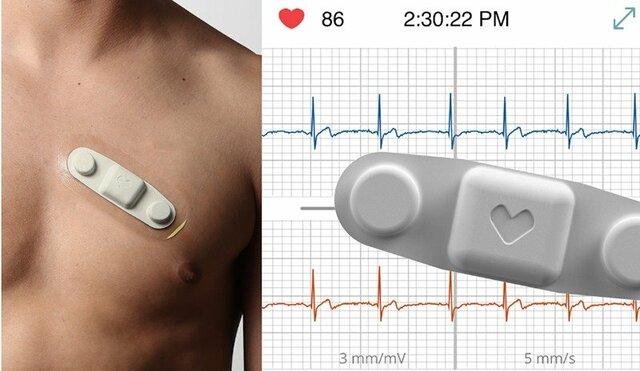 When was it introduced?