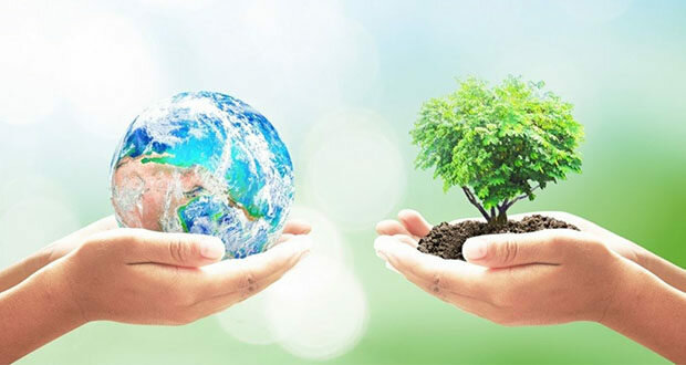 En  Colombia,  la  Educación  Ambiental  (EA)  que  se  imparte  en  las  instituciones  escolares  se  encuentra  instituida  por  el  artículo  14  literal