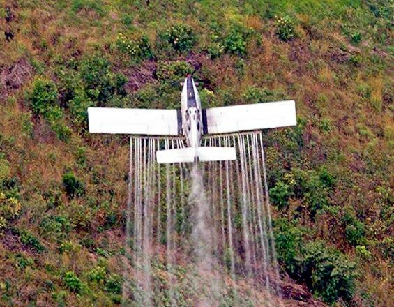 La Corte Constitucional Instaura Normas de uso del Glifosato