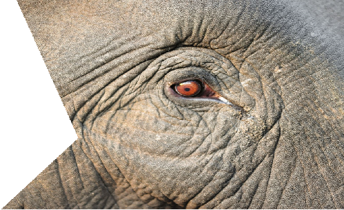 Edad Contemporánea.