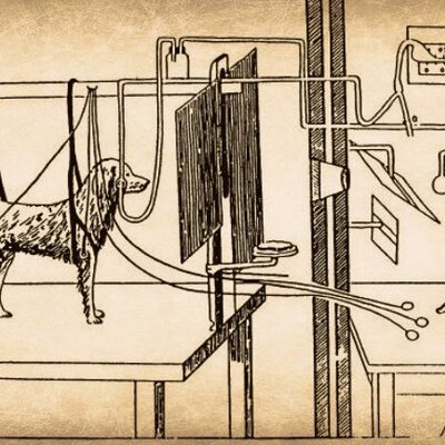 Timeline: Origen y Evolución del Condicionamiento Clásico y Condicionamiento Operante