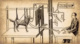 Timeline: Origen y Evolución del Condicionamiento Clásico y Condicionamiento Operante