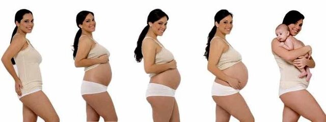 DE LA CONCEPCIÓN AL NACIMIENTO