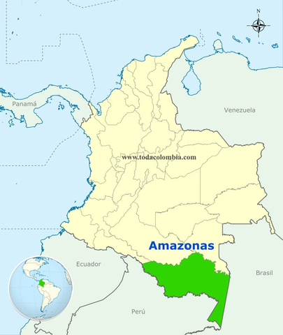 Presencia de A. aegypti en Amazonas