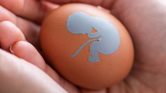 Sentencia T- 636 de 2011