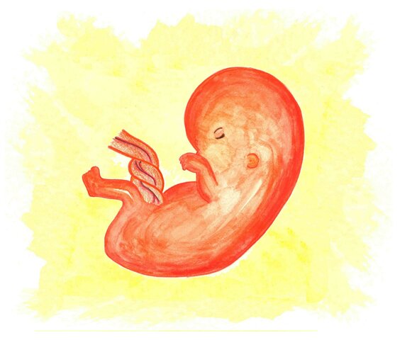 Sentencia T – 841 de 2011