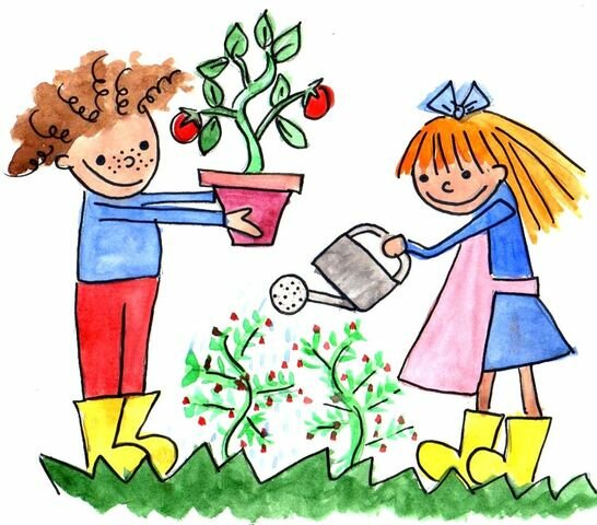 MÉTODO EXPERIMENTAL