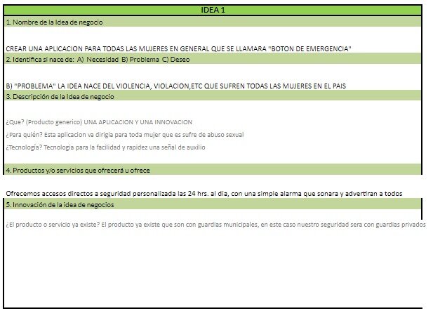 Perfil de la Idea de Negocio