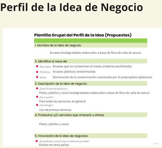 Perfil de la Idea de Negocio
