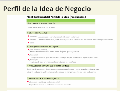 Perfil de la idea de negocio