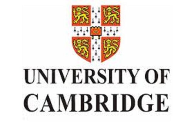 Tesauro en combinación con descriptores