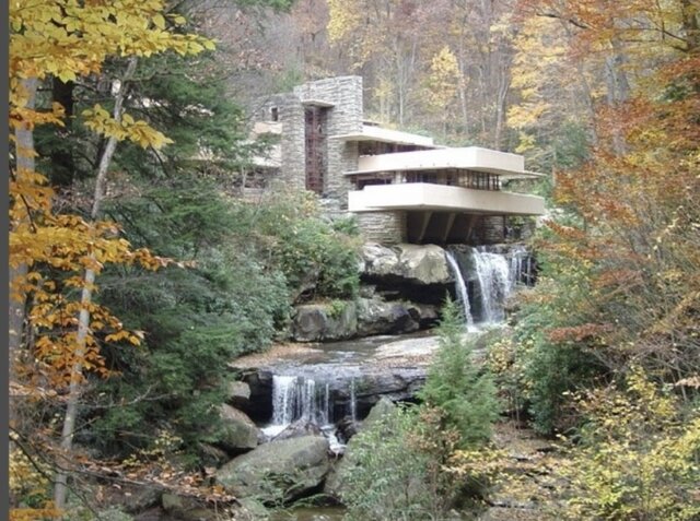 ARQUITECTURA ORGÀNICA