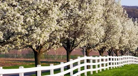 Timeline: Their Eyes Were Watching God Plot Summary