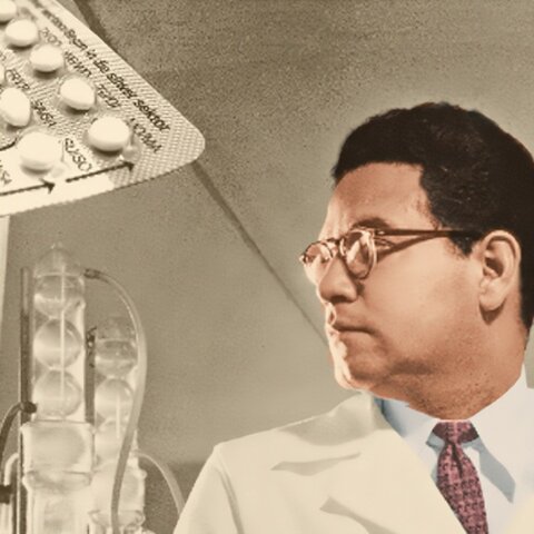 Primer anticonceptivo oral