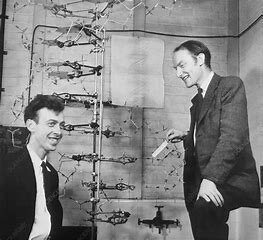 Descubrimiento y explican la estructura del ADN