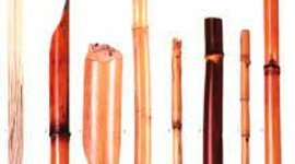 Timeline: les stylos au fils de l'encre