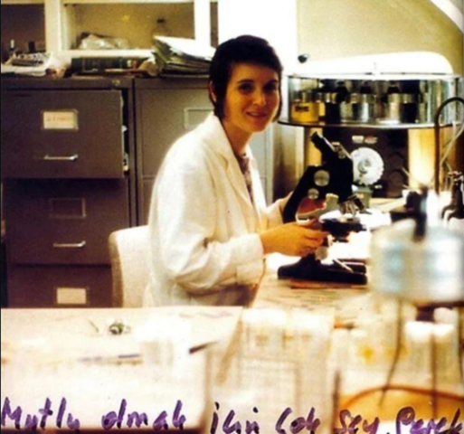 University education