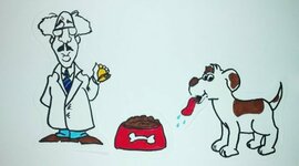 Timeline: Origen y Evolución del Condicionamiento Clásico y Condicionamiento Operante.