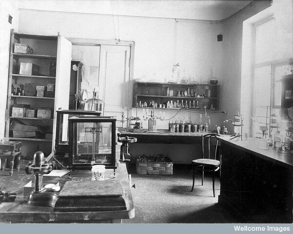 primeros experiementos de Pavlov