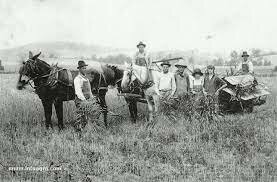 Agriculture 2ºIndustrial Revolution