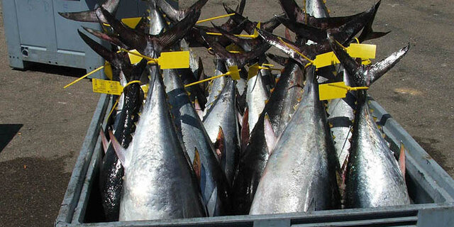 Extraccion de materia prima