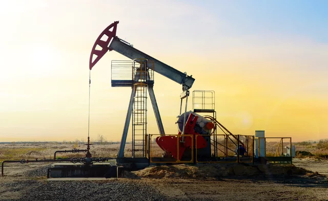 Distribución y transporte