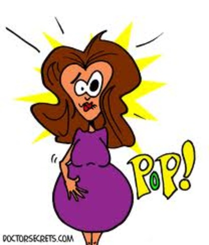 Fluorenscence sequencer