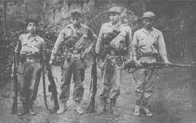CRECIMIENTO DE LAS GUERRILLAS
