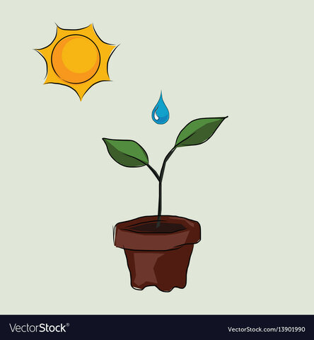 Our Seeds are Thirsty & Need Energy!