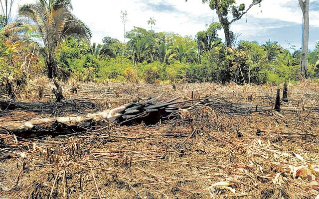 Entre sequías y crisis