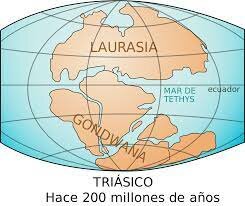 460 millones de años