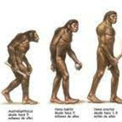 Timeline: Evolución