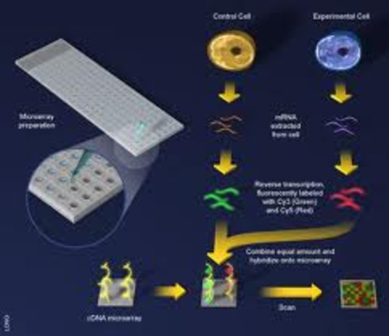 DNA microarray technology