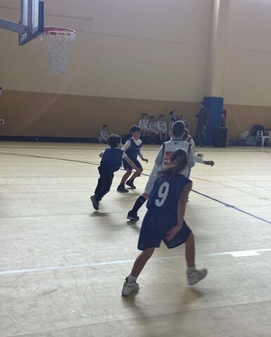 Il Basket