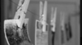 Timeline: LA LINEA DEI RICORDI