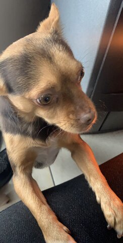 La vigila di capodanno