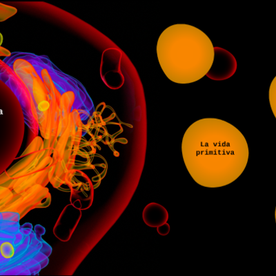 Timeline:  Inicios del Planeta Tierra