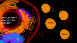 Timeline:  Inicios del Planeta Tierra