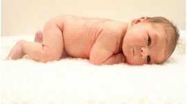 Timeline: Evan Thomas Kruder